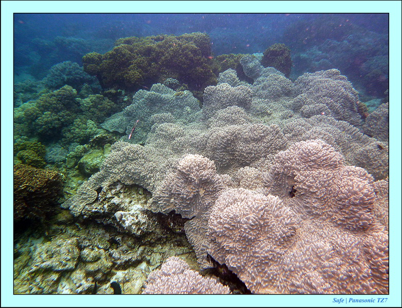 2012 - 07 - Apoh Island 33